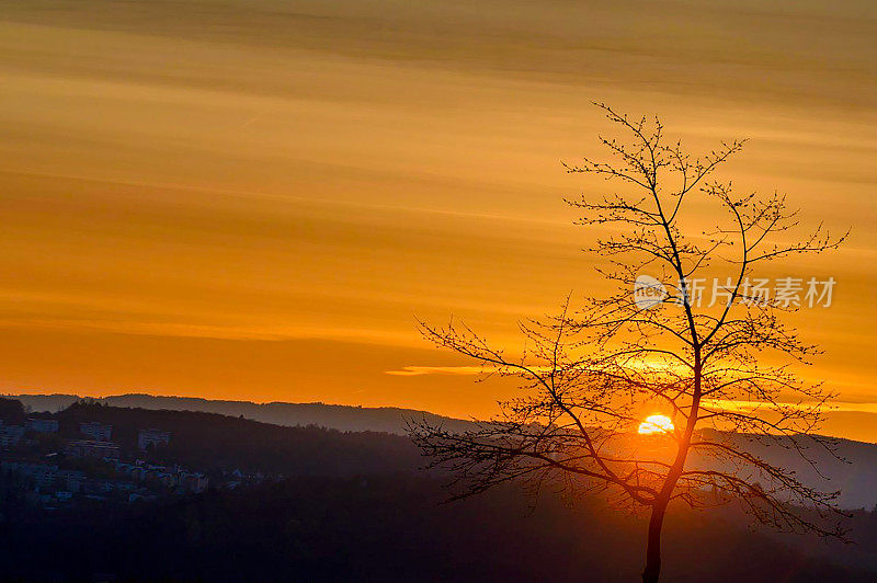 Landscape, orange sunrise over wooded hills and tree branches.